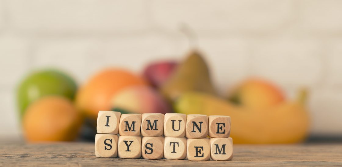 What is the immune system?