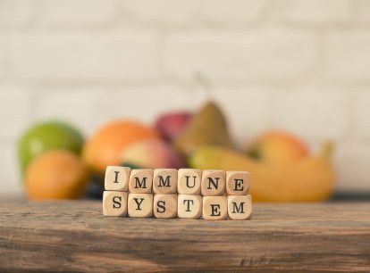 What is the immune system?