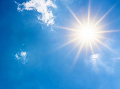 Is vitamin D good for the immune system?